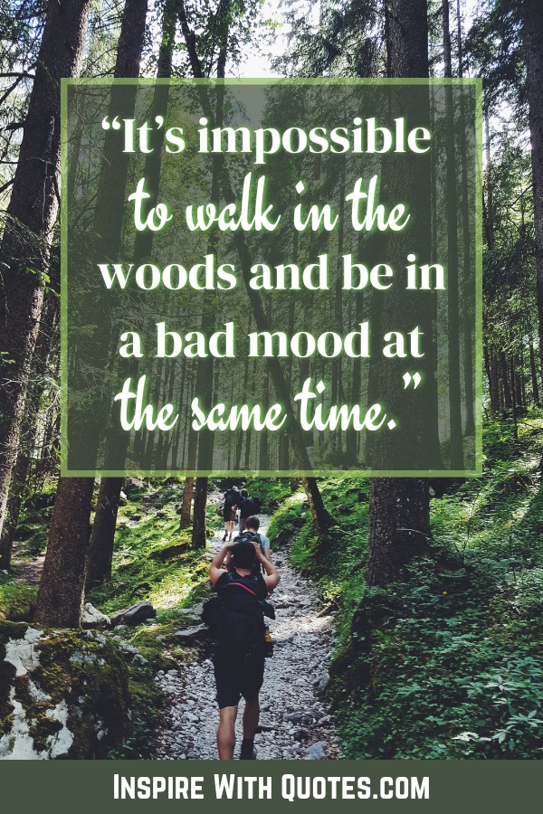 person walking through a forest with the caption "it's impossible to walk in the woods and be in a bad mood at the same time"