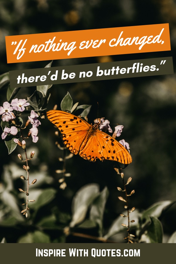 orange butterfly on a leaf with the quote "if nothing ever changed, there'd be no butterflies"