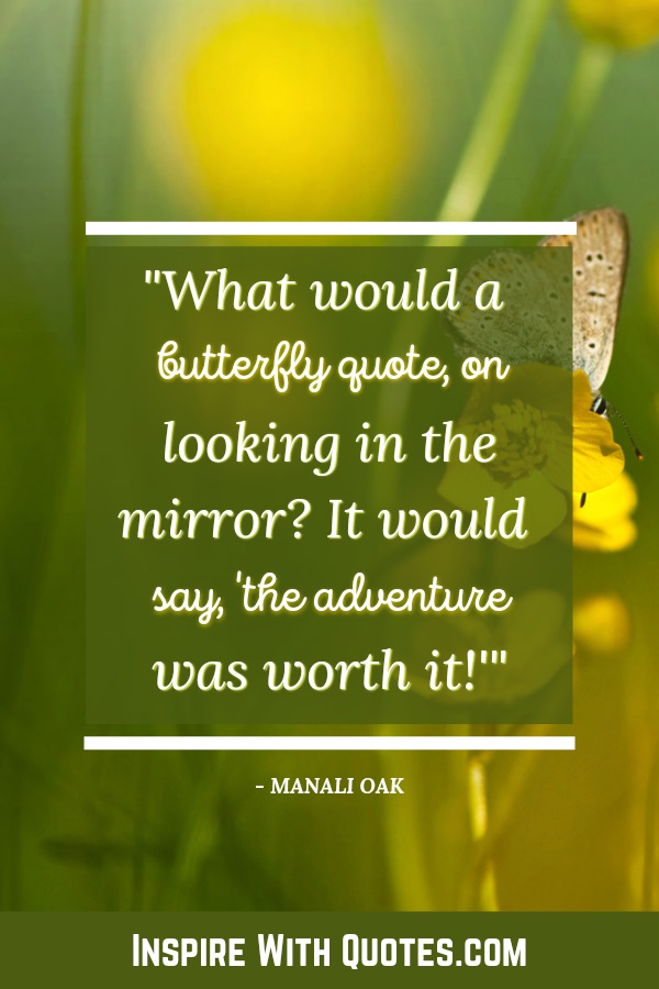 yellow butterfly in nature with a quote about the butterfly enjoying the adventure that is life. 